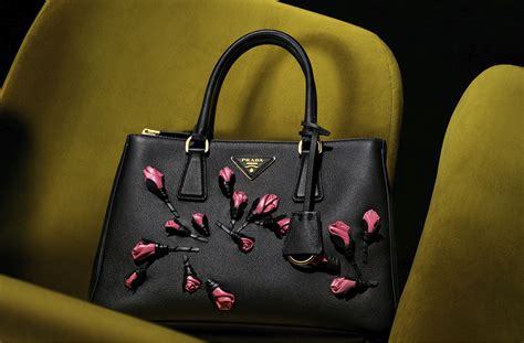 prada universe